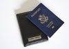 TRAVELVAULT PASSPORT PROTECTOR